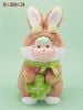 Nhồi Bông BOJI Clover M Size - BOJIDOJI Series | FRIENDSHEEP Goods