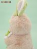 Nhồi Bông DOJI Clover M Size - BOJIDOJI Series | FRIENDSHEEP Goods