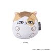 Nhồi bông Kenma Cat - Haikyuu!! | Eyeup Plushie