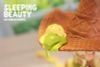 Ice Cream Fairies Matcha - Original | WE ART DOING Figure