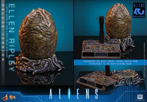 Movie Masterpiece Series Ellen Ripley 2.0 Deluxe Edition 1/6 - Aliens | Hot Toys Figure