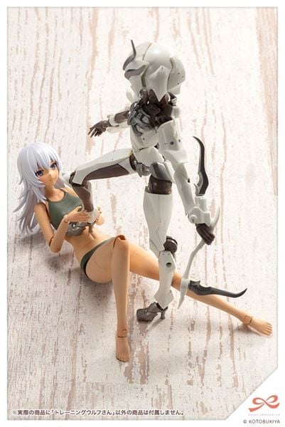 Sousai Shoujo Teien Training Wolf 1/10 | Kotobukiya