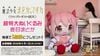 Madoka Kaname - Puella Magi Madoka Magica the Movie Walpurgisnacht: Rising | TAITO DoQute Plushie