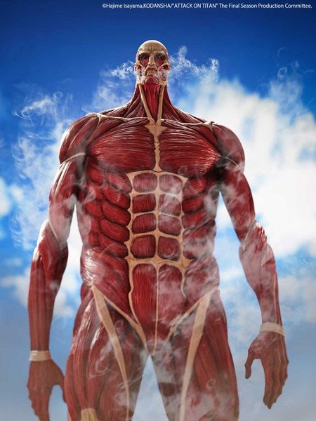 Mega Soft Vinyl Colossal Titan - Attack on Titan | Kaiyodo Figure