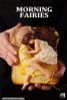 Honey Toast Figure - Morning Fairies | WE ART DOING