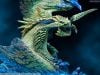 Capcom Figure Builder Creator's Model Rey Dau Shining Thunder Wyvern - Monster Hunter Wilds | Capcom figure