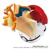 Charizard DeruPoke Poke Ball - "Pokemon" Series | Takara Tomy Figure