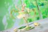 Cake Fairies Matcha illustration by aruk 1/7 Scale Figure - Original | WE ART DOING Figure