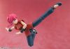 S.H.Figuarts Ranma - Ranma 1/2 | Bandai Spirits Figure
