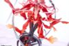 Inori Yuzuriha You're the world to me 1/7 - Guilty Crown | Solarain figure
