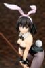 Yukina Himeragi Bunny Girl Style 1/7 - Strike the Blood | ques Q figure