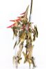 Assembly Type Plastic Model MAGNAPALACE The Knight of Gold ENTHUSIAST EDITION 1/144 The Five Star Stories | Our Treasure Figure