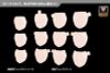 MEGAMI DEVICE M.S.G 08 FACE SET BUSTER DOLL SKIN COLOR C - Megami Device | Kotobukiya Goods