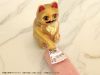 Pripra Beckoning Cat Kinji no Baai Plastic Model - Maneki Neko | DIG Goods