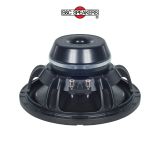  LOA BASS RỜI 2 TẤC RƯỠI 10 Inch B&C SPEAKERS 10BG76 