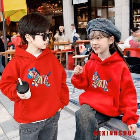 Áo Hoodie In Ngựa Cầu Vồng Dễ Thương Cho Bé Trai & Bé Gái Mùa Thu Đông BXG2011