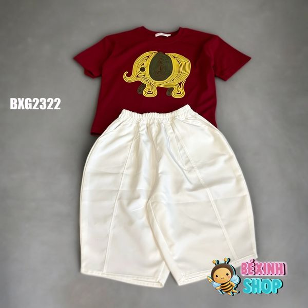 Set áo thun in voi quần lửng Cotton phom Baggy siêu ngầu cho bé trai BXG2321
