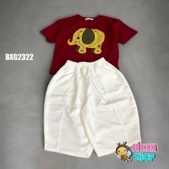 Set áo thun in voi quần lửng Cotton phom Baggy siêu ngầu cho bé trai BXG2321