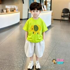Set áo thun in voi quần lửng Cotton phom Baggy siêu ngầu cho bé trai BXG2321
