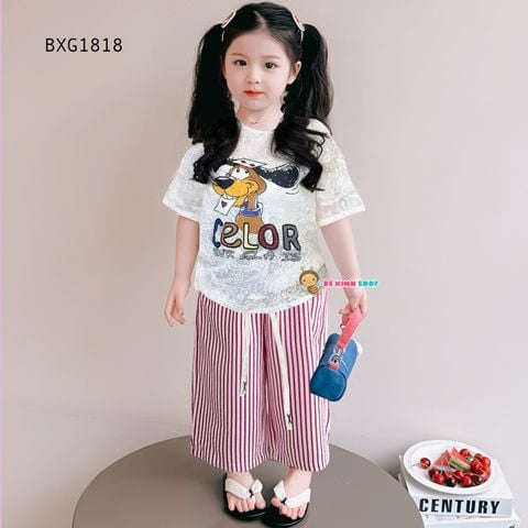 Bộ áo thun ren in chó Teno quần suông dễ thương cho bé gái BXG1818