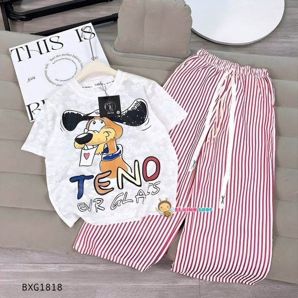 Bộ áo thun ren in chó Teno quần suông dễ thương cho bé gái BXG1818