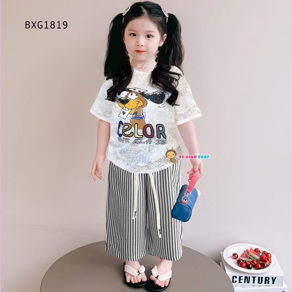 Bộ áo thun ren in chó Teno quần suông dễ thương cho bé gái BXG1818