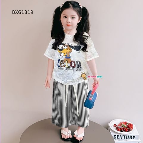 Bộ áo thun ren in chó Teno quần suông dễ thương cho bé gái BXG1818