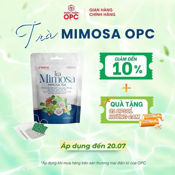  TPBS. TRÀ MIMOSA 