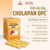  Viên dạ dày CHOLAPAN® 