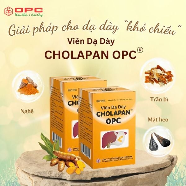  Viên dạ dày CHOLAPAN® 
