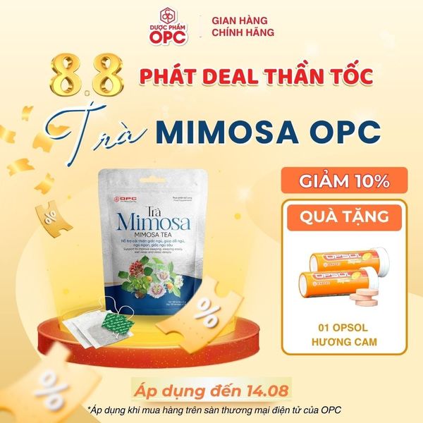  TPBS. TRÀ MIMOSA 