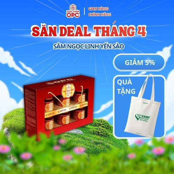  SÂM NGỌC LINH YẾN SÀO OPC 