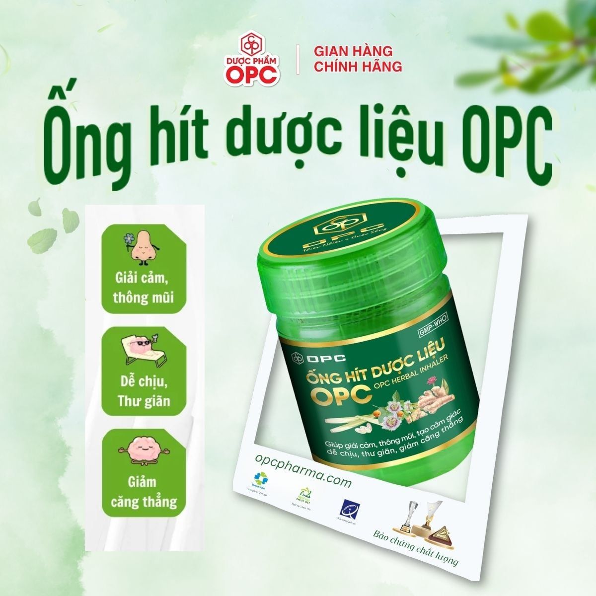  Combo Travel Pack – Sức khỏe Đồng hành 