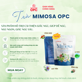 TPBS. TRÀ MIMOSA 