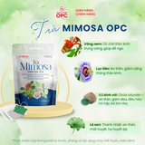  TPBS. TRÀ MIMOSA 