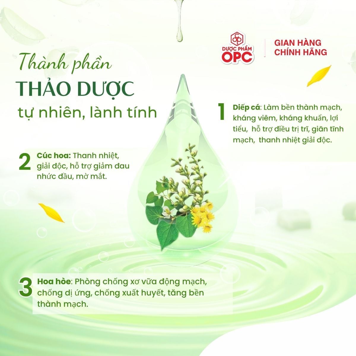  RUTON® TRÀ TÚI LỌC 