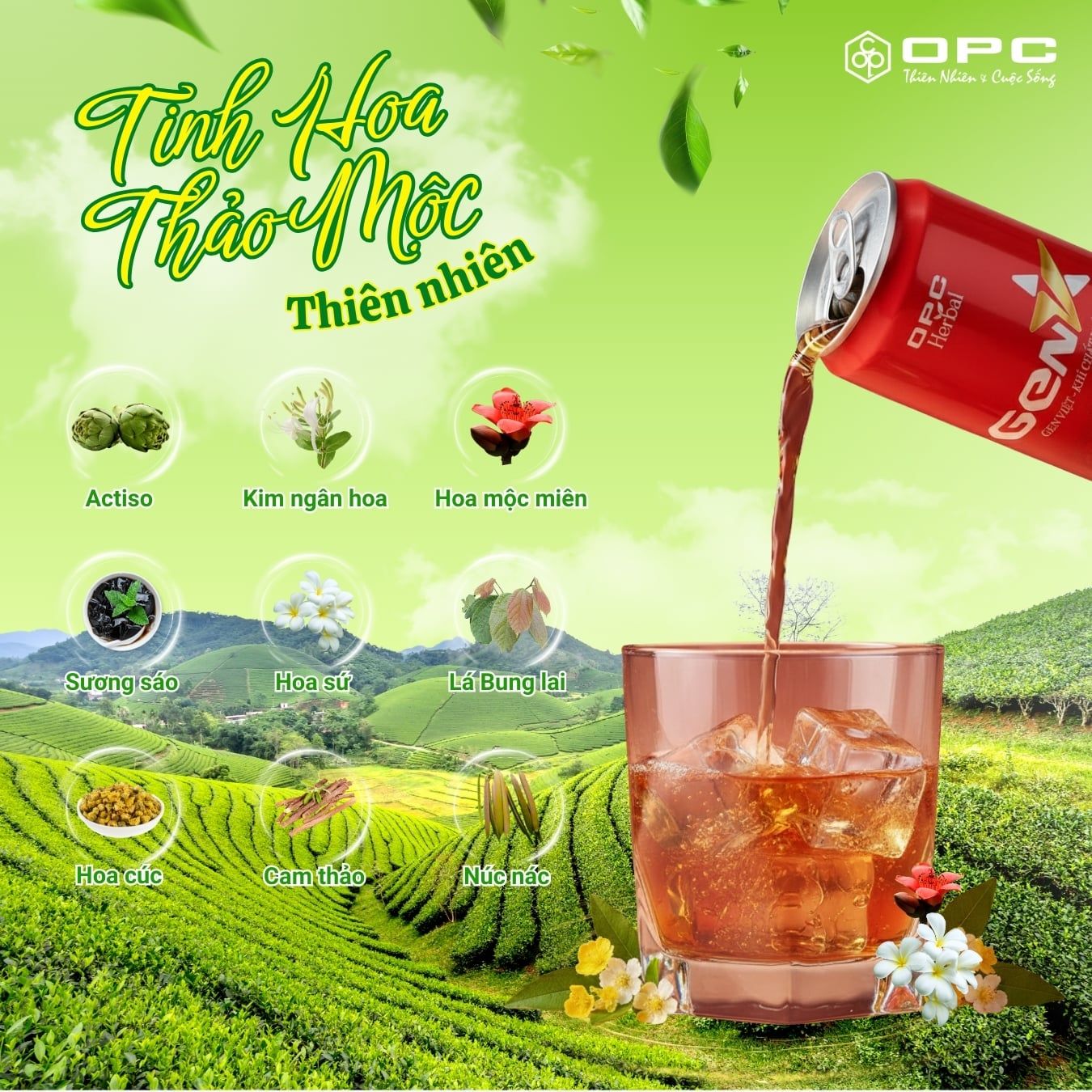  Nước uống thảo mộc Gen V 