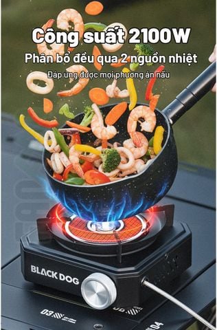 Bếp gas cắm trại kết hợp lửa và hồng ngoại Blackdog CBD2550CF018