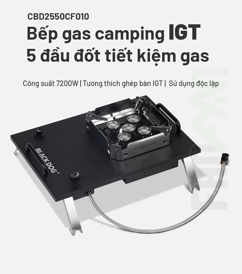 Bếp gas dã ngoại IGT 5 đầu đốt 7200W Blackdog CBD2550CF010