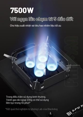 Bếp gas dã ngoại IGT 5 đầu đốt 7200W Blackdog CBD2550CF010