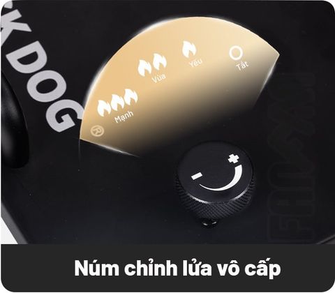Bếp gas dã ngoại IGT 5 đầu đốt 7200W Blackdog CBD2550CF010