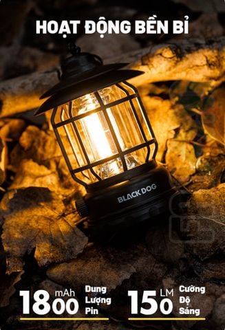 Đèn bão cắm trại treo lều Blackdog CBD2550ZM043