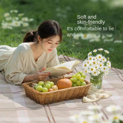 Thảm trải Picnic BlackDog CBD2550WS013