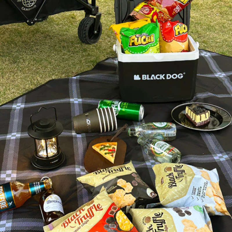 Thảm trải Picnic BlackDog CBD2550WS013