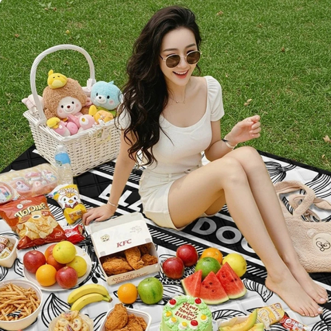 Thảm trải Picnic chống nước BlackDog CBD2550WS011