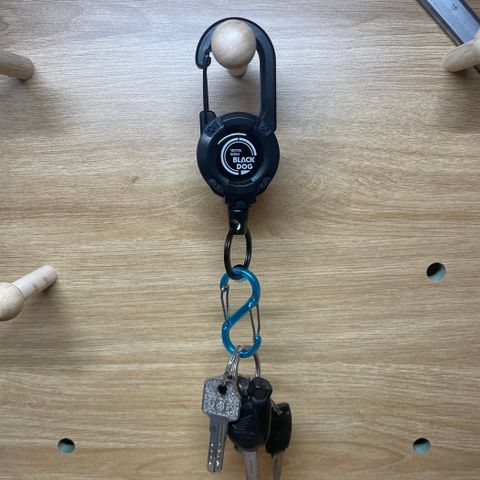 Móc Carabiner dây cáp kéo rút Blackdog CBD2550PJ070