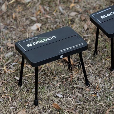 Ghế gián điệp siêu cấp bỏ túi BLACKDOG CBD2550JJ051