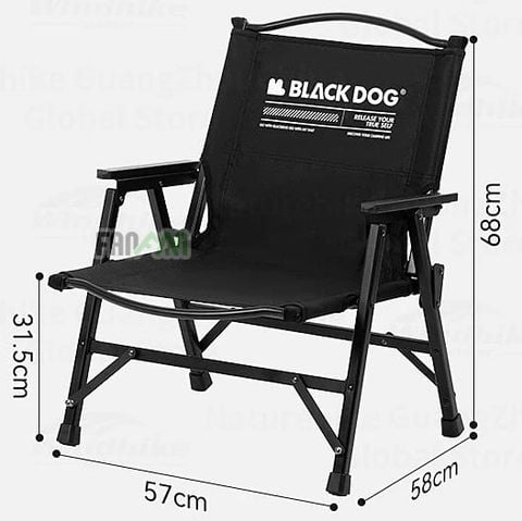 Ghế Kermit cắm trại xếp gọn BLACKDOG CBD2450JJ043