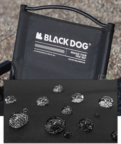Ghế Kermit cắm trại xếp gọn BLACKDOG CBD2450JJ043