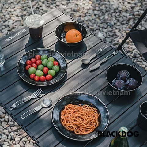 Đĩa dã ngoại tráng men Blackdog CBD2450CF017